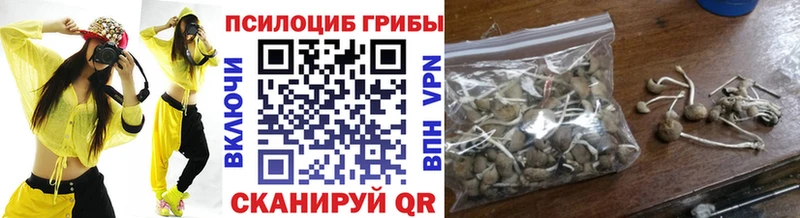 Галлюциногенные грибы ЛСД  Терек 