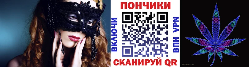 дарнет шоп  Терек  Бошки марихуана планчик 